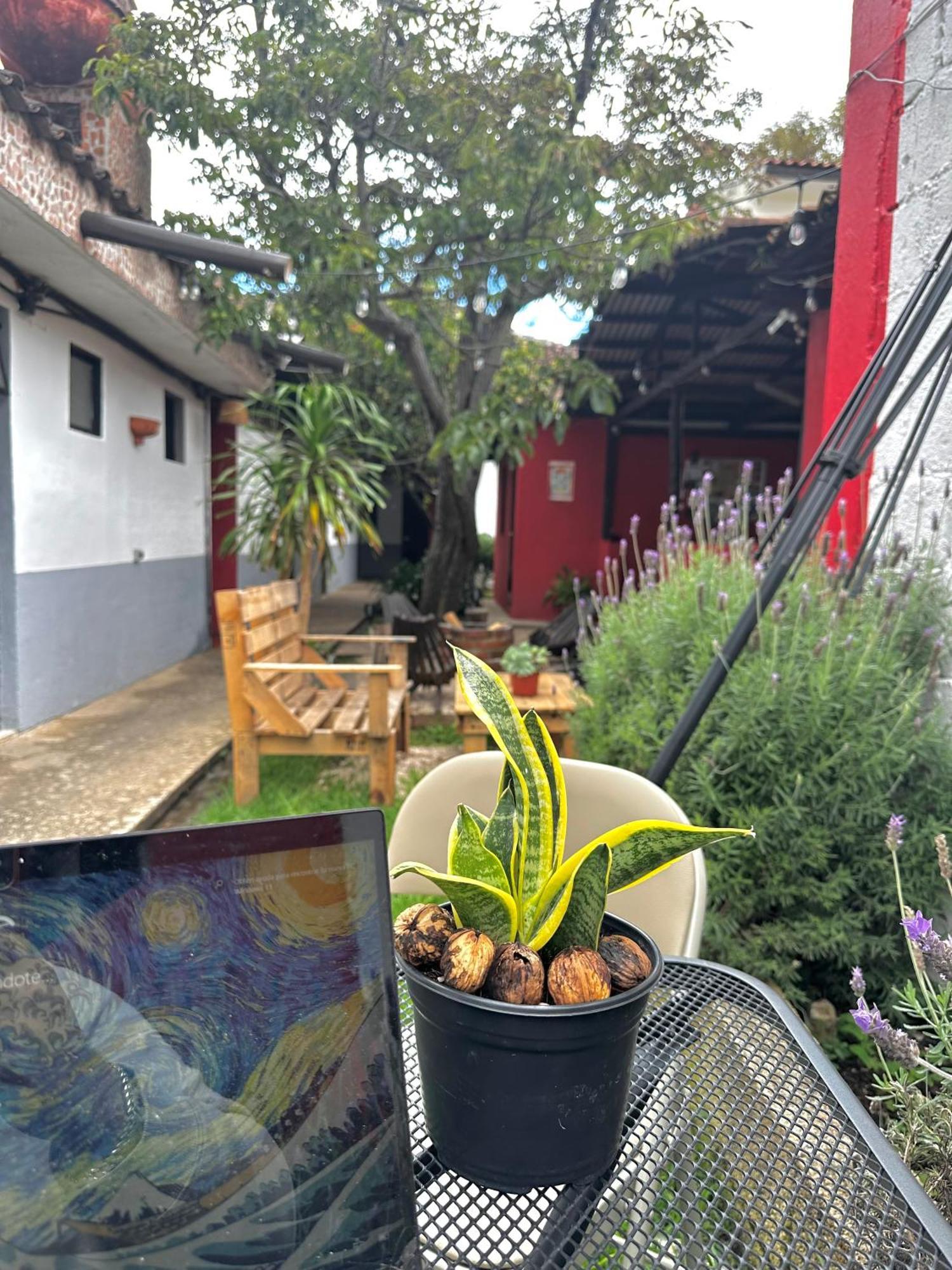 Berlin61 Hotel San Cristóbal de Las Casas Eksteriør billede